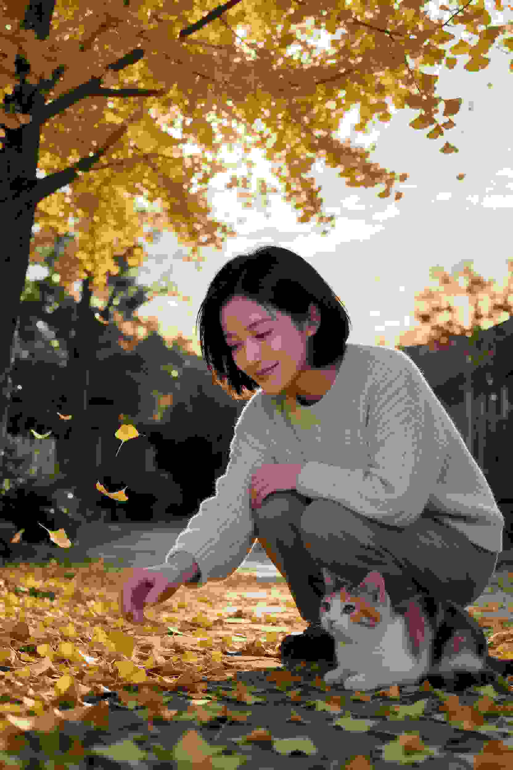 推荐作品